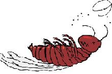 Cartoon of dead termite